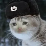 captain