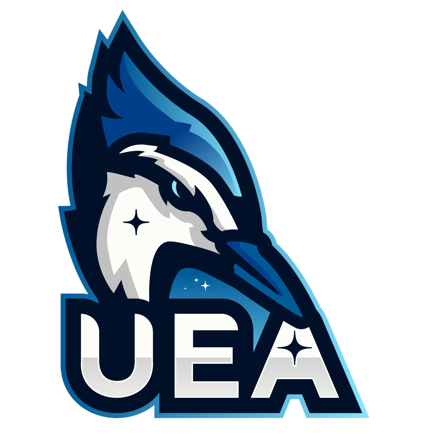 university