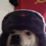 captain