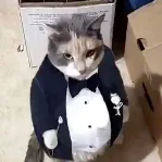 captain