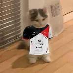 captain