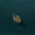 captain