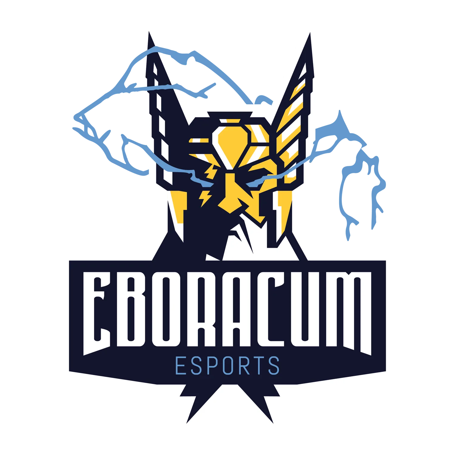 university
